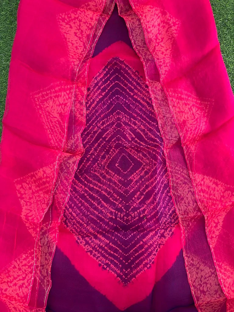 Pure Organza Shibori Saree – New Design ✨ - Image 3
