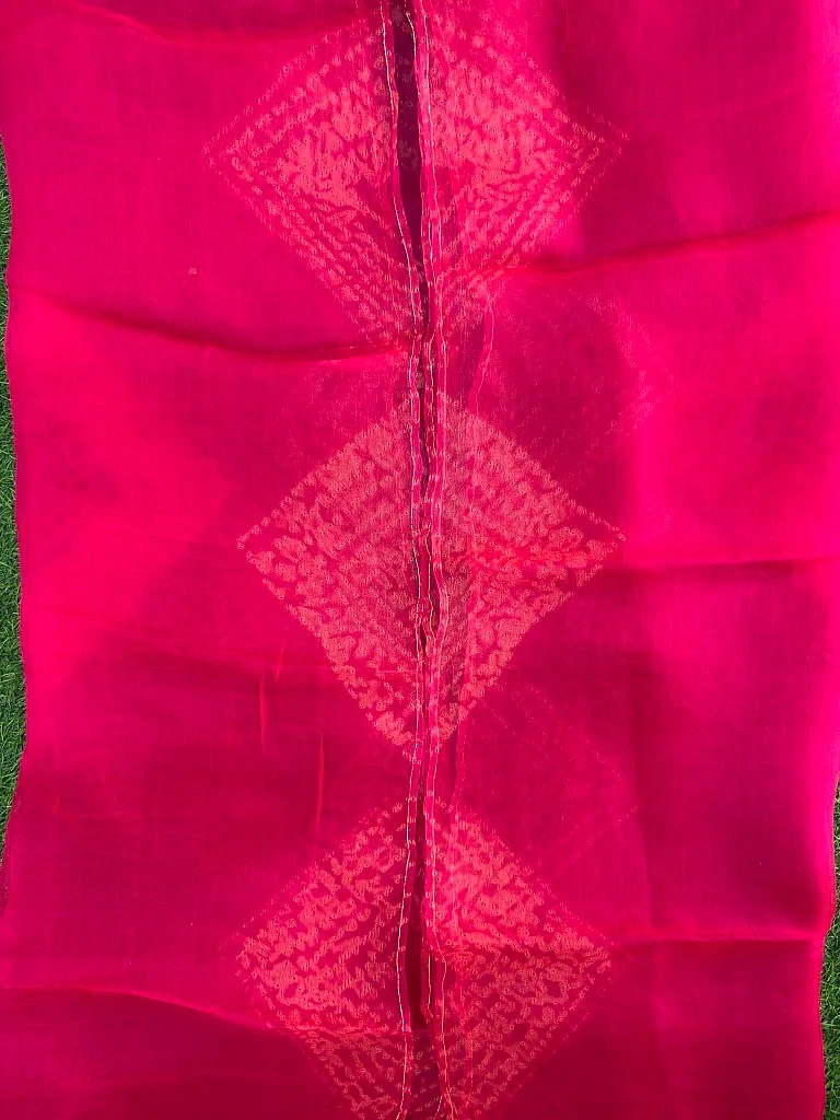 Pure Organza Shibori Saree – New Design ✨ - Image 4
