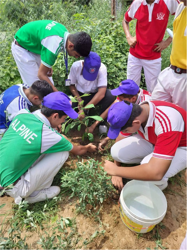 A Tree for Mother – A Tribute by Alpine Students