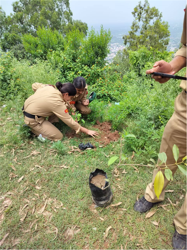 A Tree for Mother – A Tribute by Alpine Students