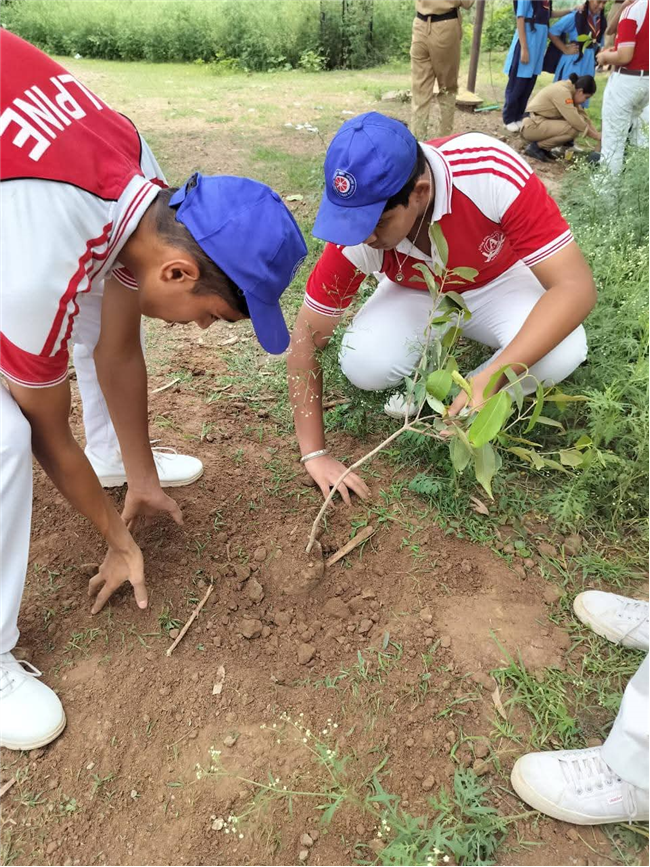 A Tree for Mother – A Tribute by Alpine Students