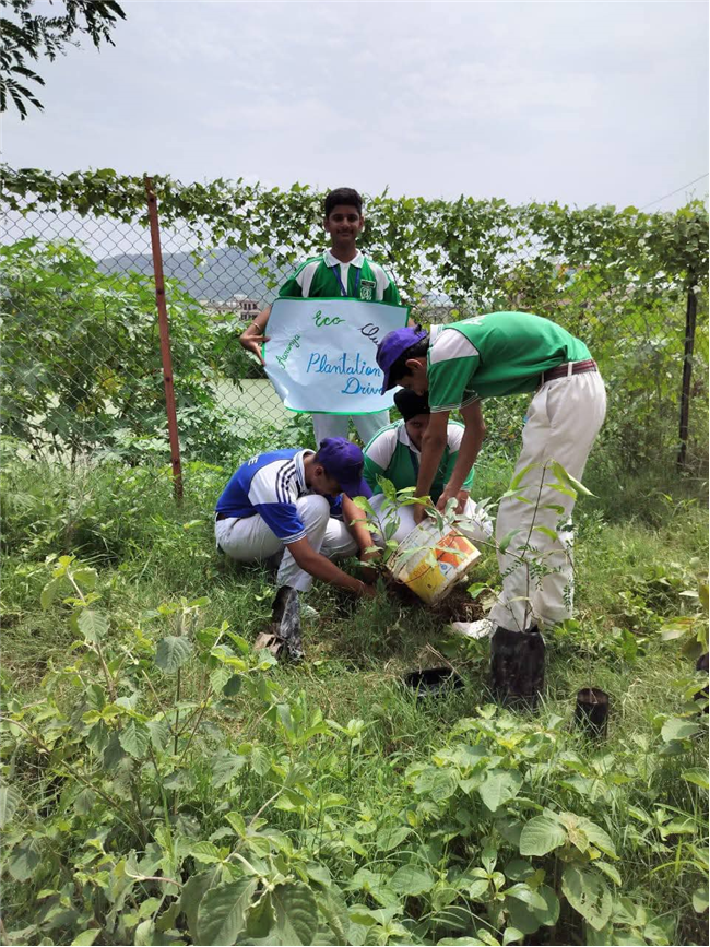 A Tree for Mother – A Tribute by Alpine Students