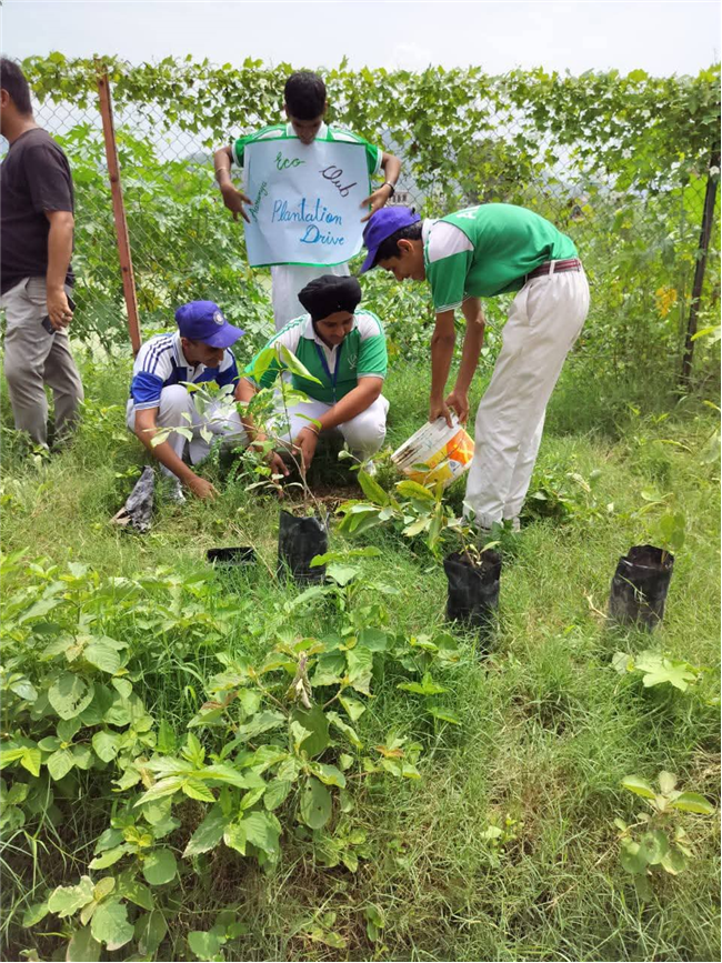 A Tree for Mother – A Tribute by Alpine Students