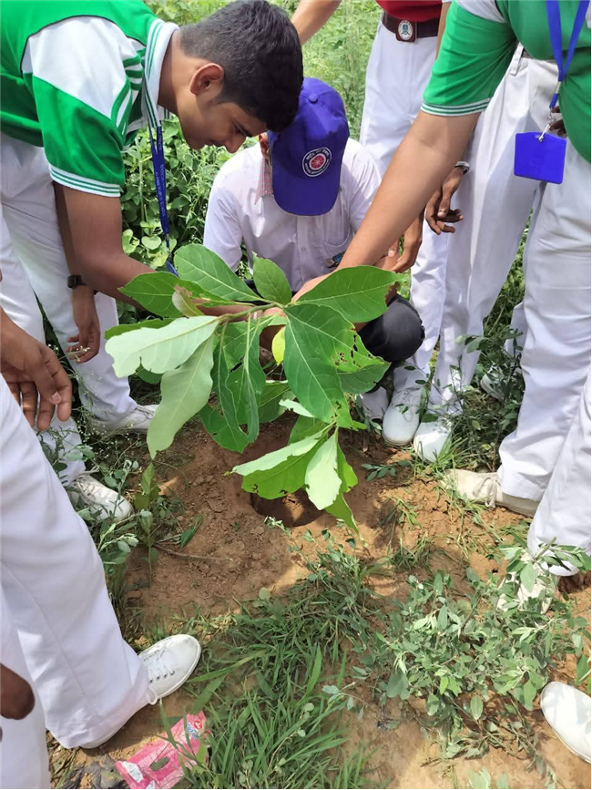 A Tree for Mother – A Tribute by Alpine Students