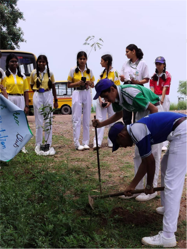 A Tree for Mother – A Tribute by Alpine Students