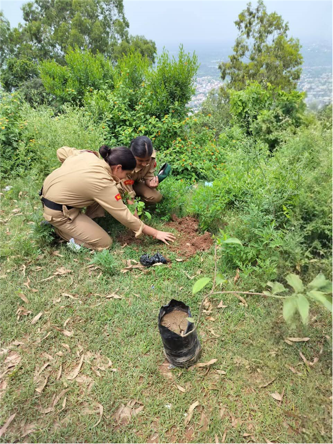 A Tree for Mother – A Tribute by Alpine Students