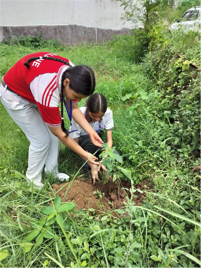 A Tree for Mother – A Tribute by Alpine Students