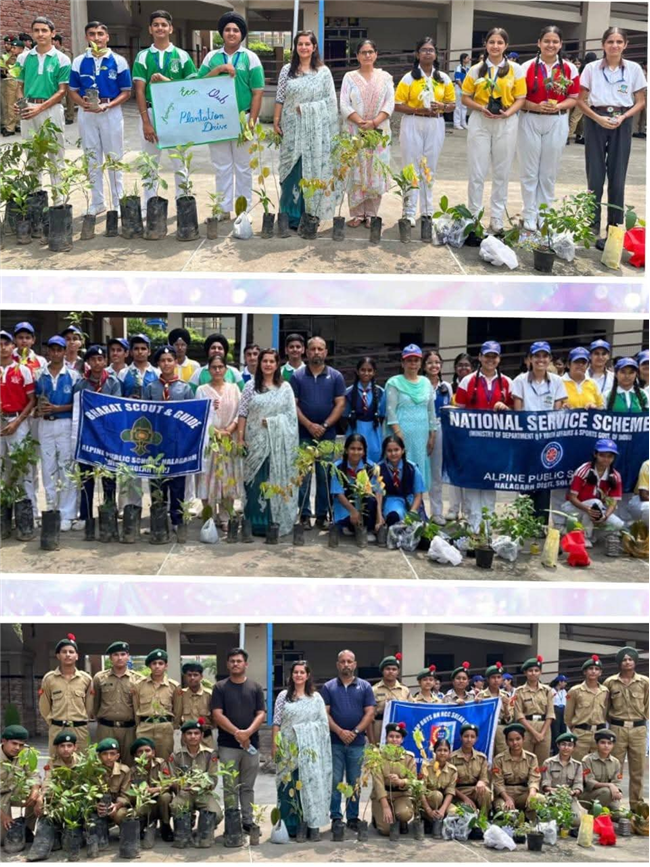 A Tree for Mother – A Tribute by Alpine Students