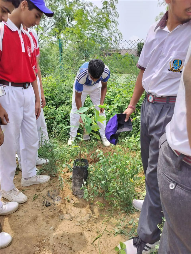 A Tree for Mother – A Tribute by Alpine Students
