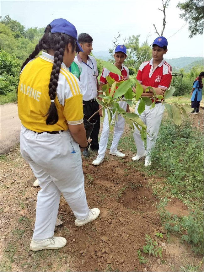 A Tree for Mother – A Tribute by Alpine Students
