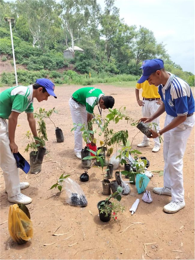 A Tree for Mother – A Tribute by Alpine Students