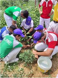 A Tree for Mother – A Tribute by Alpine Students