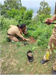 A Tree for Mother – A Tribute by Alpine Students