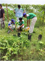 A Tree for Mother – A Tribute by Alpine Students