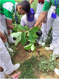 A Tree for Mother – A Tribute by Alpine Students
