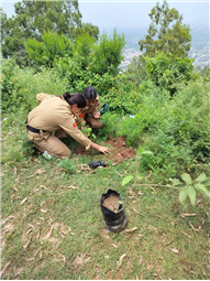 A Tree for Mother – A Tribute by Alpine Students