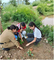 A Tree for Mother – A Tribute by Alpine Students