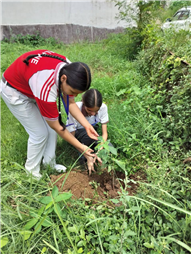 A Tree for Mother – A Tribute by Alpine Students