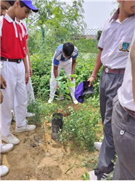 A Tree for Mother – A Tribute by Alpine Students