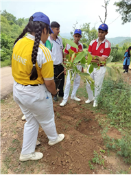 A Tree for Mother – A Tribute by Alpine Students