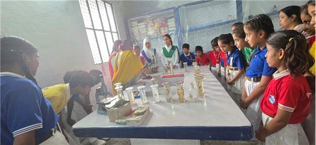Science Practical