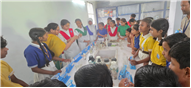 Science Practical