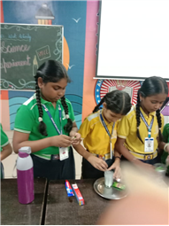 23-07-2025 Science Activity