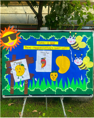 Mango Party Class II 2026-27