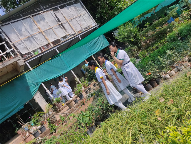 VISIT TO ATULYA NURSERY(VII A)