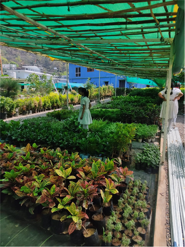 VISIT TO ATULYA NURSERY(VII A)