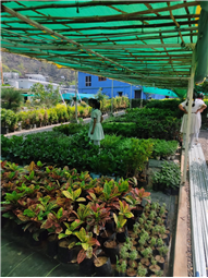 VISIT TO ATULYA NURSERY(VII A)