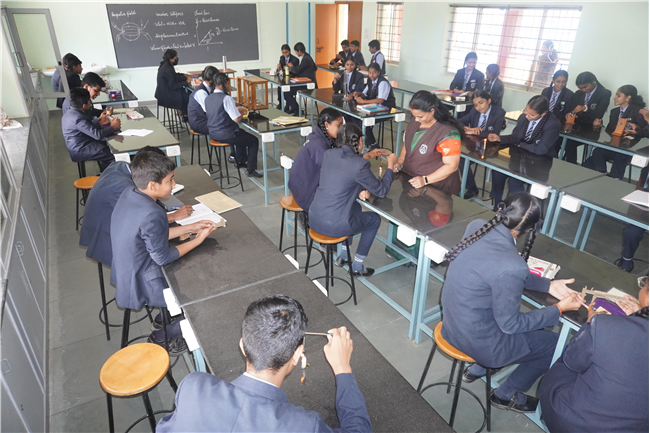 School Activities