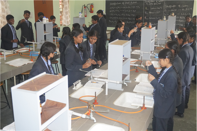 School Activities