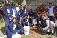 School Activities