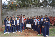 School Activities