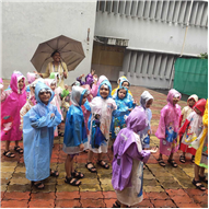 School Activities