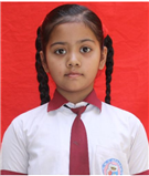 gauri dwivedi