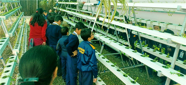 Educational Trip to Butterfly Park - 01-12-2025
