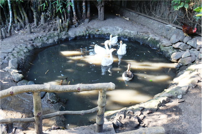 An Educational Visit to Woollen Handloom - 04-12-2025