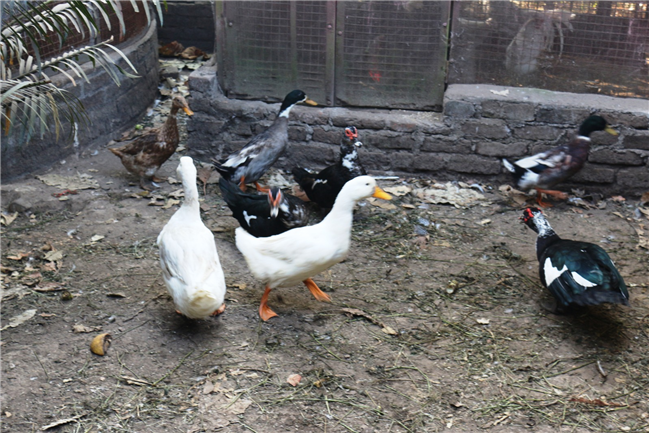 An Educational Visit to Woollen Handloom - 04-12-2025