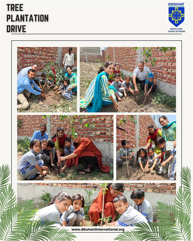 Tree Plantation