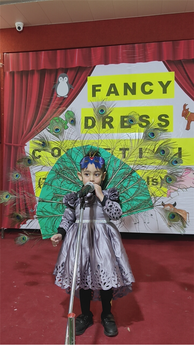 Fancy Dress Competition (Nursery)
