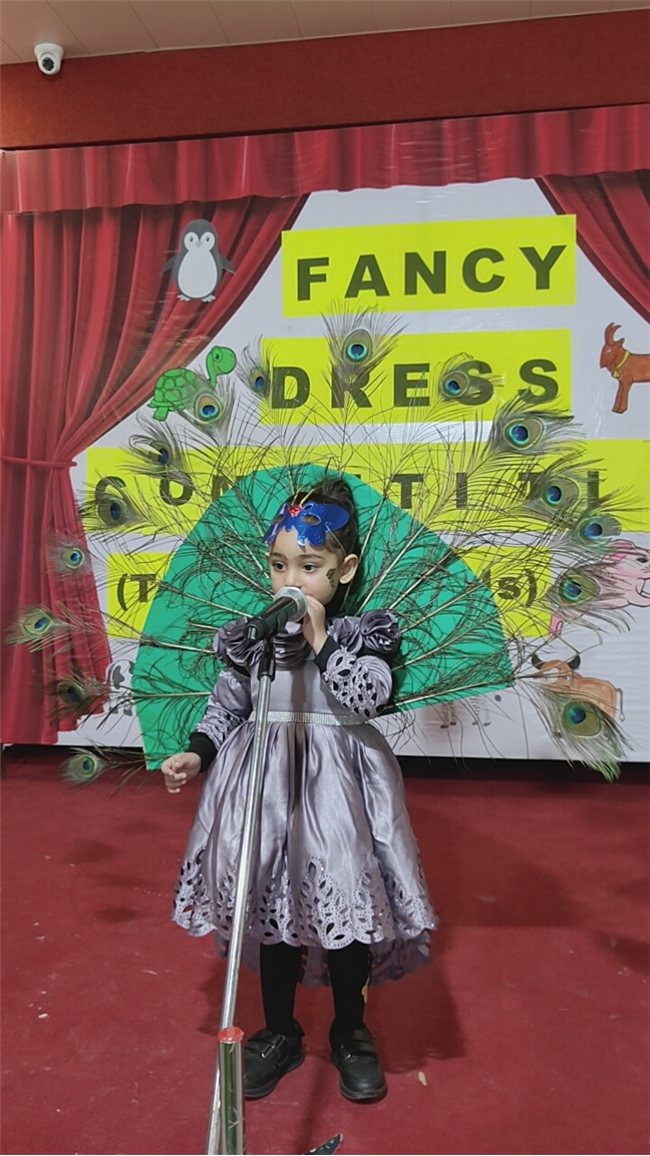Fancy Dress Competition (Nursery)