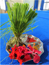 Harela Celebration
