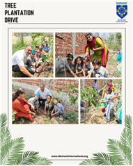 Tree Plantation