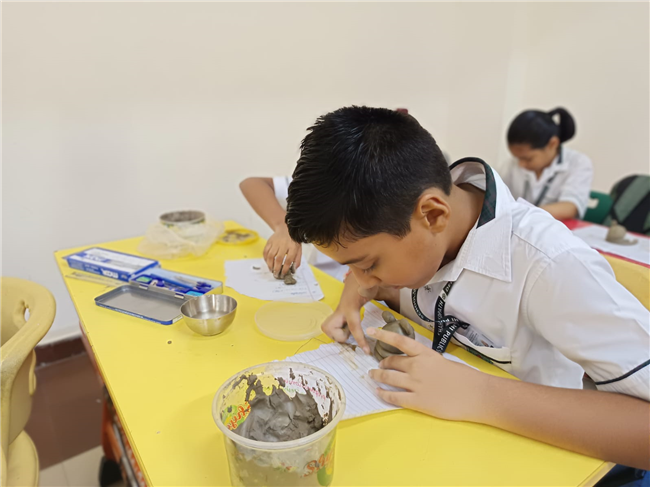 Monthly Activity – Clay Encanto