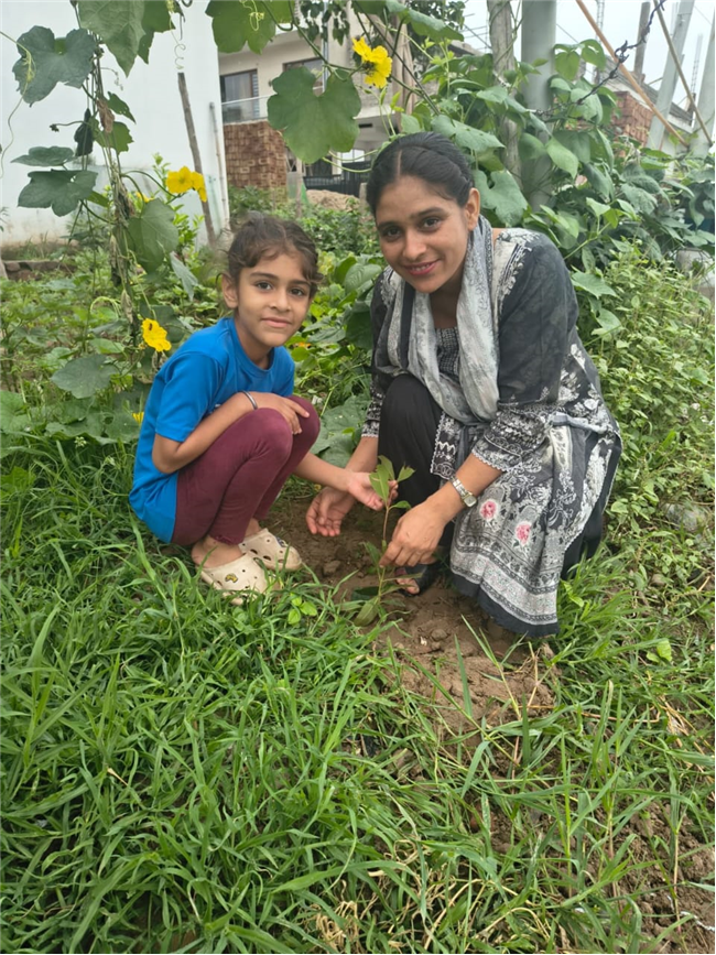 Ek Ped Maa Ke Naam