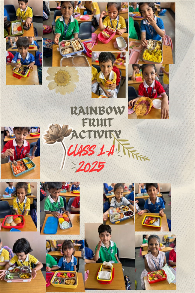 Rainbow Colors Activity