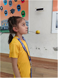 Lemon Race