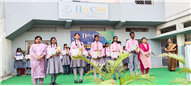 Merit Award Distribution